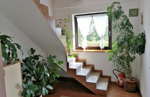 House Marica - Foto 18