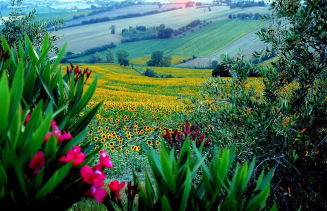 Inviting Holiday Home in San Costanzo With Swimming Pool - Foto 62