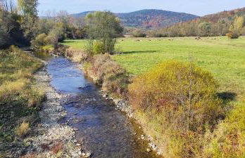 Dębowy Zakątek - Foto 42