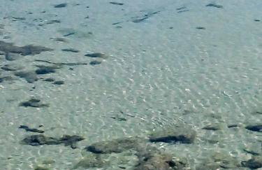 Holiday home Mola - Foto 41