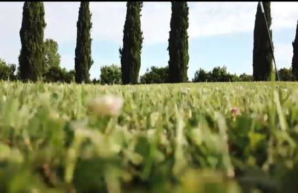 Teruzzi Country House - Foto 25