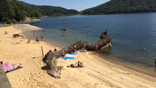 le grenier d'Annick - Foto 2