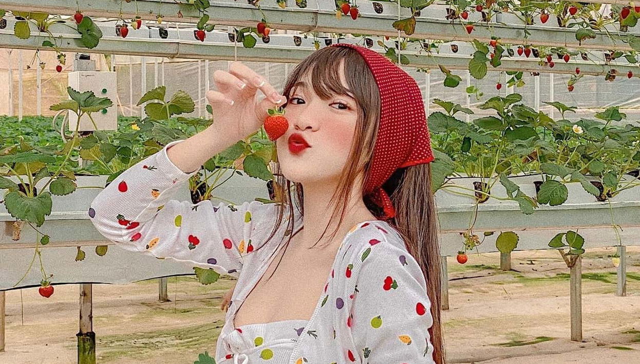 Visitando uma plantação de morangos