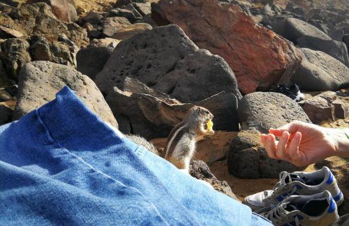 Marine Melody House - Perfect for relaxing getaway - Foto 18