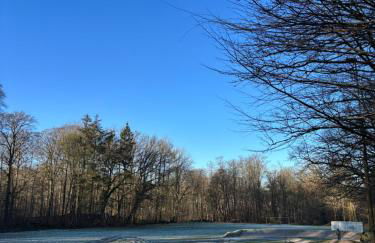 Albos Ferienhaus zwischen Schlei und Ostseeküste - Foto 46