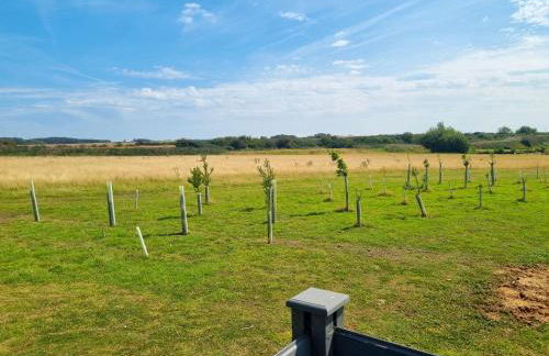 Cherry Blossom 40 - Foto 11