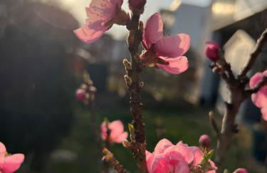 Bright new studio 43m2 with a beautiful garden - Photo 22