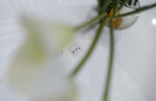 Un été sans fin - Foto 24