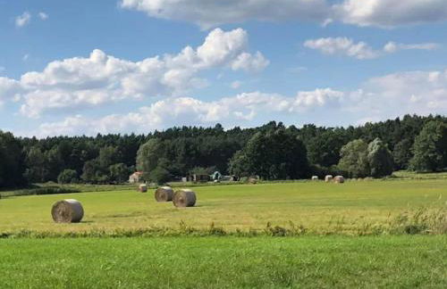 Feriendorf am Weinberg, Dobbrikow - Foto 18