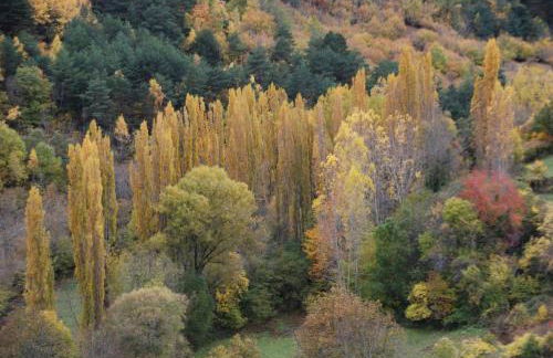 Turisme Rural Lo Pallé de Cal Bosch - Foto 58