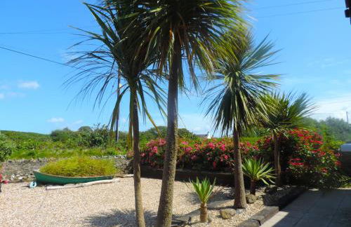 Bryn Môr - Photo 38