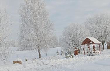 Domki na Wzgórzu - Rospuda - Domek z sauną - Foto 33