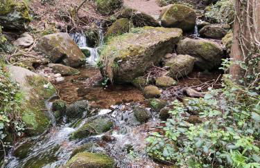 El rincón de Soto - Foto 45