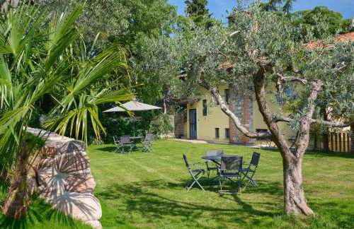 Cason degli ulivi-APT Mia - Foto 13