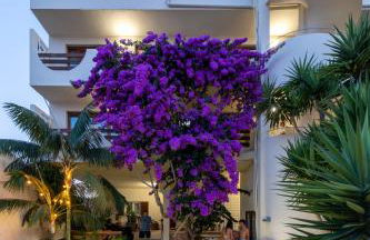 Apartamentos Estanques - Foto 37