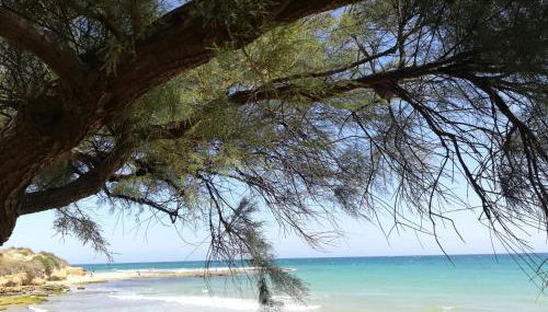 Tra Vento e Mare - Foto 5