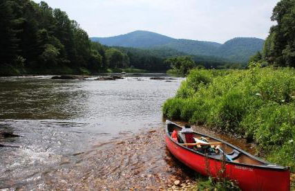 The Cabins at Healing Springs - Foto 129
