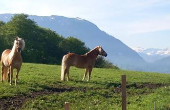 Fuchsbauernhof - Foto 6