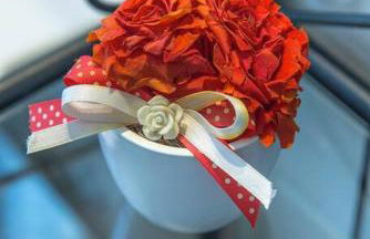 Agriturismo ai Carpini - Foto 122