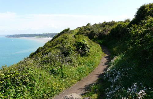 Studio des Rosaires - Foto 15