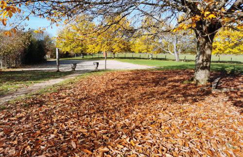 Gîte de la Châtaigneraie - Foto 30