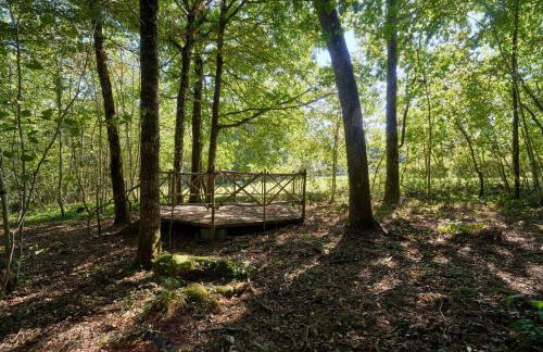 L'Envol - Oasis Ressource - Foto 47