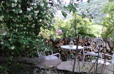 Traditional stone house in Pelion - Photo 9