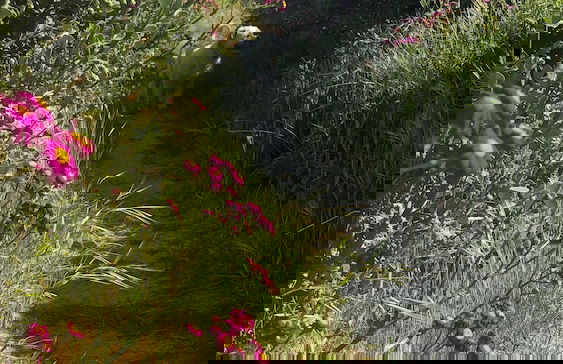 Driftwood Villas - Foto 50