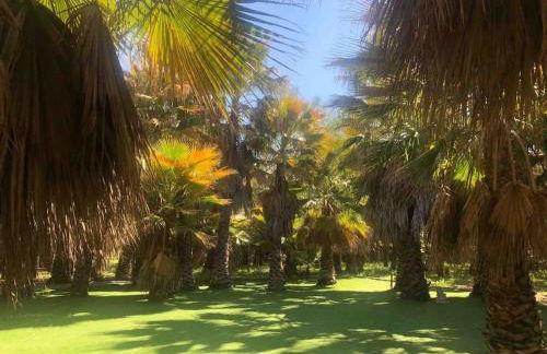 CASA RURAL EN BOSQUE DE PALMERAS - Foto 9