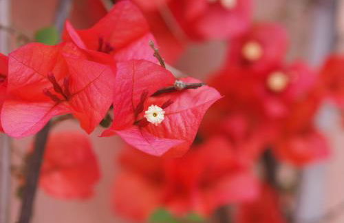 Franziska's Place - Foto 25