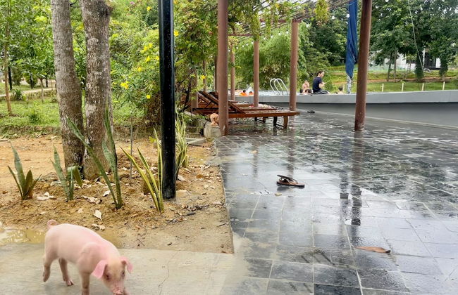 Nguyen Shack Retreat - Foto 54