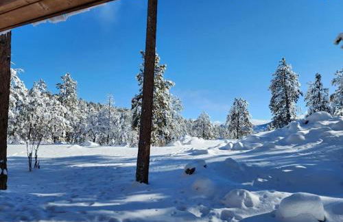 1688 Nusbaum - Combo (Both Homes) - Foto 53