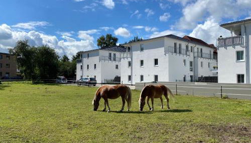 Schöner wohnen im Herzen Oldenburgs - Photo 2