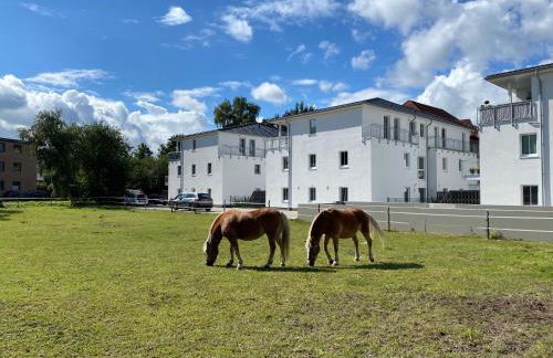 Schöner wohnen im Herzen Oldenburgs - Photo 2