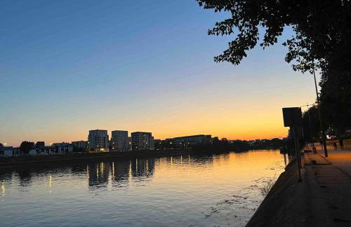 Green house, cosy garden Paris - Foto 42