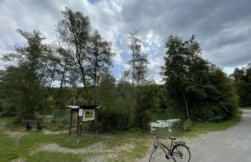 Erlachoase - Photo 40