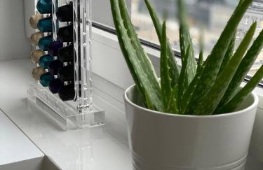 Leo Apartment - Foto 25