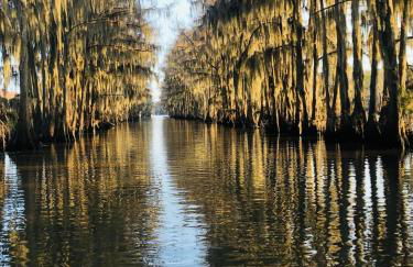 StargazerCaddo Lake Cabin with Kayaks - Foto 26