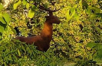 Les Délices de la Vie - Foto 10