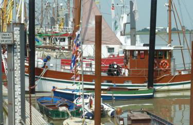 Hof Homfeld - Foto 32