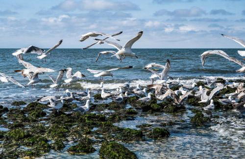 Wohnung West - Foto 8