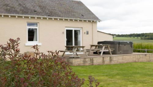 Bachilton Farm Holidays - Foto 3, Garden view