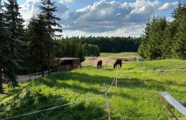 Stajnia Lipowo 45 - Foto 7