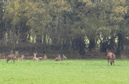 The Nook at Norton by GB Short Stays - Foto 38