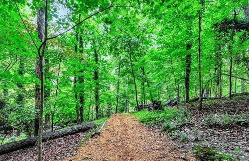 Georgia Lakeside Getaway with Private Pool - Foto 76