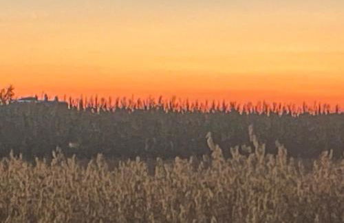 Seetraum Steffi - Foto 14