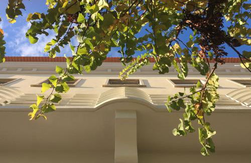 CASA 92 - OS LUGARES DE CASTRALEUCA - Foto 12