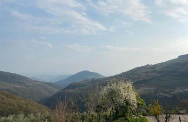 Casa Finetti - Foto 25