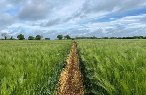 3 Bed in Maidstone oc-86252 - Foto 34