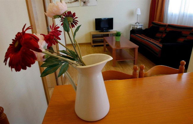 Apartamentos Turísticos Real Valle Ezcaray - Foto 30